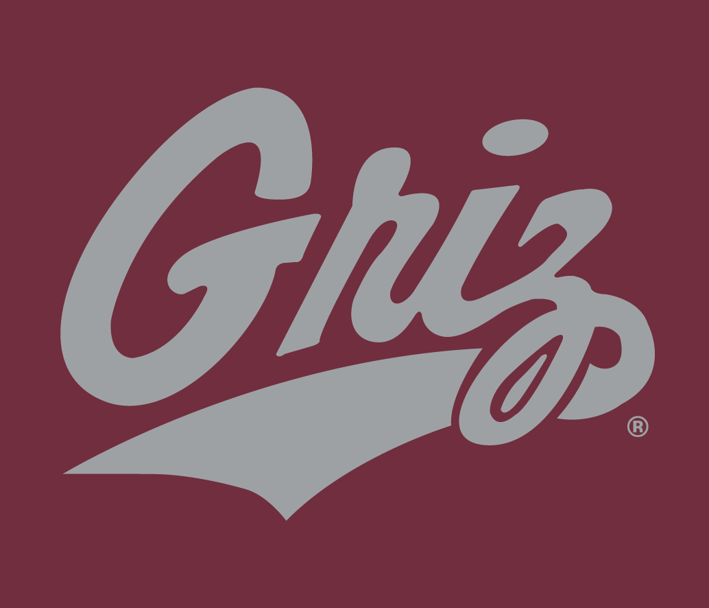 Montana Grizzlies 1996-Pres Alternate Logo v6 iron on transfers for T-shirts